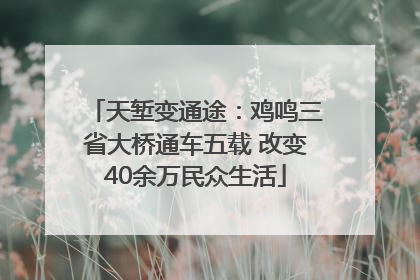 天堑变通途：鸡鸣三省大桥通车五载 改变40余万民众生活