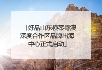 好品山东横琴粤澳深度合作区品牌出海中心正式启动