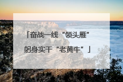 奋战一线“领头雁” 躬身实干“老黄牛”