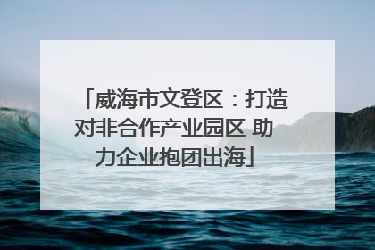 威海市文登区：打造对非合作产业园区 助力企业抱团出海