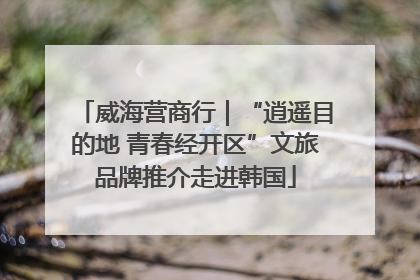 威海营商行｜“逍遥目的地 青春经开区”文旅品牌推介走进韩国