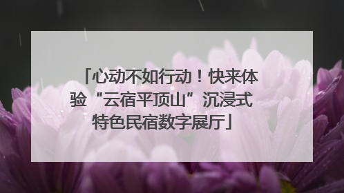 心动不如行动！快来体验“云宿平顶山”沉浸式特色民宿数字展厅