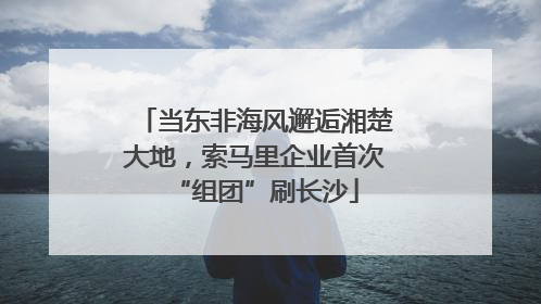 当东非海风邂逅湘楚大地，索马里企业首次“组团”刷长沙