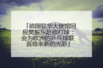 德国驻华大使馆回应樊振东赴德打球：会为欧洲的乒乓球联赛带来新的光彩