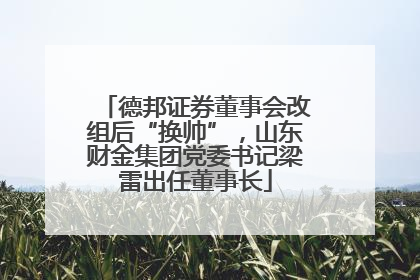 德邦证券董事会改组后“换帅”，山东财金集团党委书记梁雷出任董事长