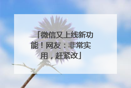 微信又上线新功能！网友：非常实用，赶紧改