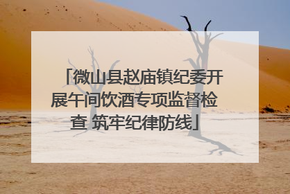 微山县赵庙镇纪委开展午间饮酒专项监督检查 筑牢纪律防线