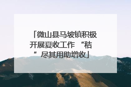 微山县马坡镇积极开展夏收工作 “秸”尽其用助增收