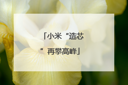 小米“造芯”再攀高峰