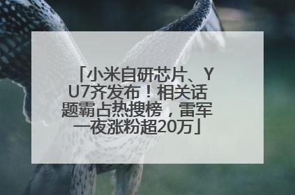 小米自研芯片、YU7齐发布！相关话题霸占热搜榜，雷军一夜涨粉超20万
