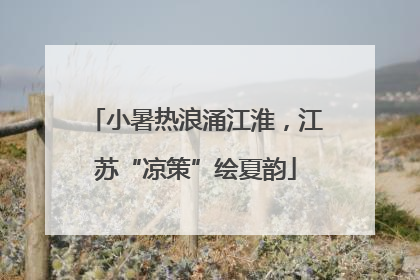小暑热浪涌江淮，江苏“凉策”绘夏韵
