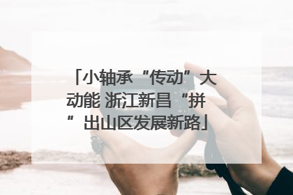 小轴承“传动”大动能 浙江新昌“拼”出山区发展新路