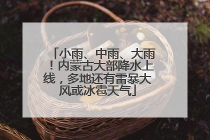 小雨、中雨、大雨！内蒙古大部降水上线，多地还有雷暴大风或冰雹天气