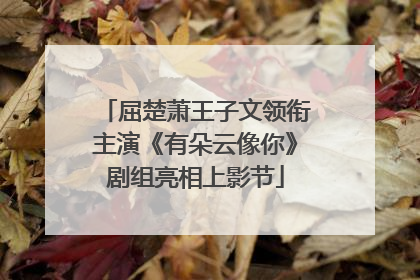 屈楚萧王子文领衔主演《有朵云像你》剧组亮相上影节