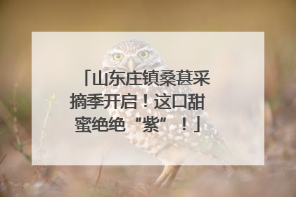 山东庄镇桑葚采摘季开启！这口甜蜜绝绝“紫”！