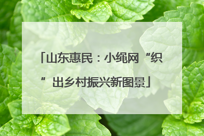 山东惠民:小绳网“织”出乡村振兴新图景