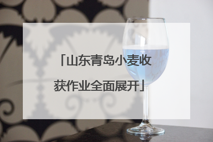 山东青岛小麦收获作业全面展开