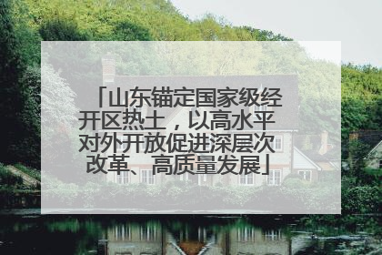 山东锚定国家级经开区热土，以高水平对外开放促进深层次改革、高质量发展