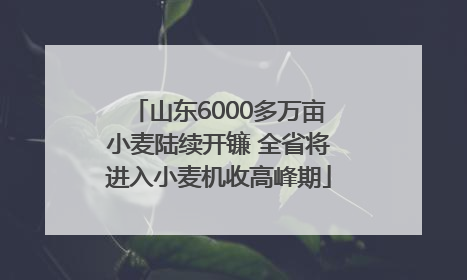 山东6000多万亩小麦陆续开镰 全省将进入小麦机收高峰期