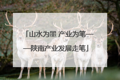山水为墨 产业为笔——陕南产业发展走笔