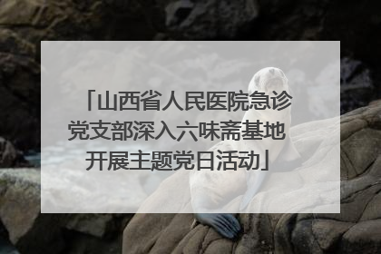 山西省人民医院急诊党支部深入六味斋基地开展主题党日活动