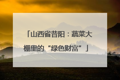 山西省昔阳：蔬菜大棚里的“绿色财富”