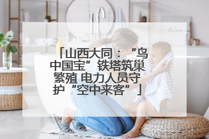 山西大同：“鸟中国宝”铁塔筑巢繁殖 电力人员守护“空中来客”
