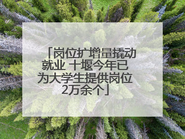 岗位扩增量撬动就业 十堰今年已为大学生提供岗位2万余个