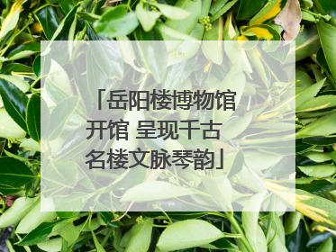 岳阳楼博物馆开馆 呈现千古名楼文脉琴韵