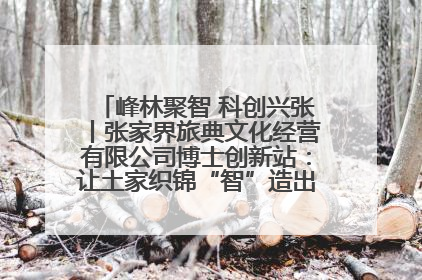 峰林聚智 科创兴张丨张家界旅典文化经营有限公司博士创新站：让土家织锦“智”造出非遗新传奇