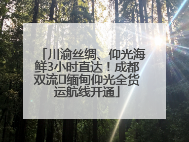 川渝丝绸、仰光海鲜3小时直达！成都双流⇌缅甸仰光全货运航线开通