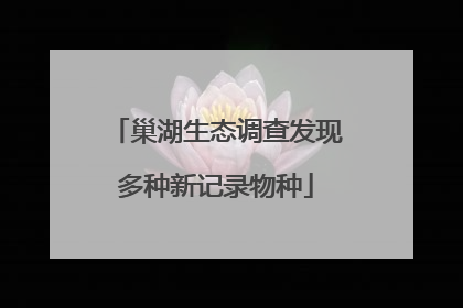 巢湖生态调查发现多种新记录物种