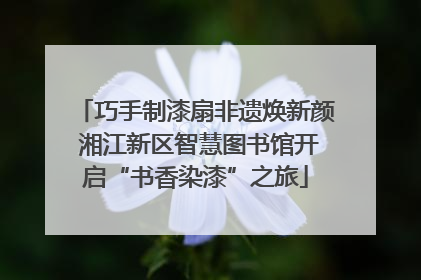 巧手制漆扇非遗焕新颜 湘江新区智慧图书馆开启“书香染漆”之旅