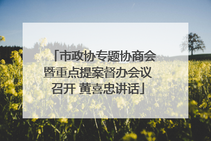 市政协专题协商会暨重点提案督办会议召开 黄喜忠讲话