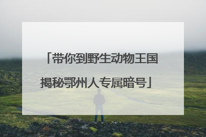 带你到野生动物王国揭秘鄂州人专属暗号