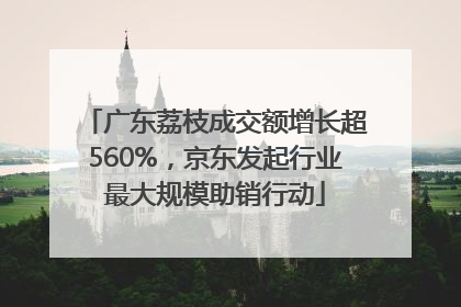 广东荔枝成交额增长超560%，京东发起行业最大规模助销行动
