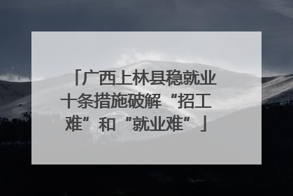 广西上林县稳就业十条措施破解“招工难”和“就业难”