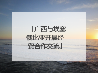 广西与埃塞俄比亚开展经贸合作交流