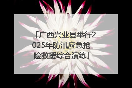 广西兴业县举行2025年防汛应急抢险救援综合演练