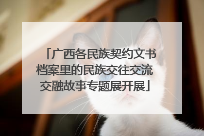 广西各民族契约文书档案里的民族交往交流交融故事专题展开展