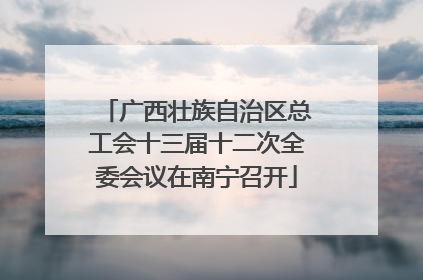 广西壮族自治区总工会十三届十二次全委会议在南宁召开