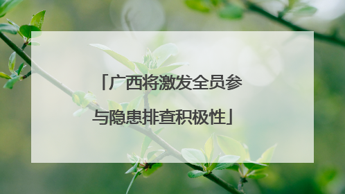 广西将激发全员参与隐患排查积极性