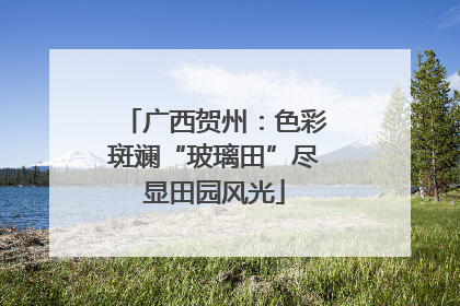 广西贺州：色彩斑斓“玻璃田”尽显田园风光