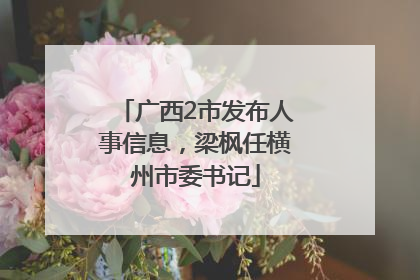 广西2市发布人事信息，梁枫任横州市委书记