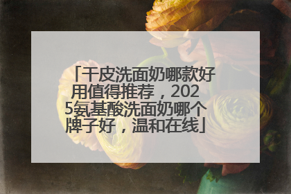 干皮洗面奶哪款好用值得推荐，2025氨基酸洗面奶哪个牌子好，温和在线