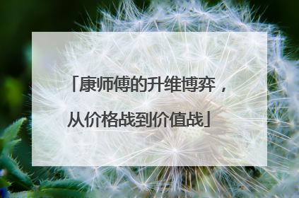 康师傅的升维博弈,从价格战到价值战
