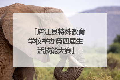 庐江县特殊教育学校举办第四届生活技能大赛