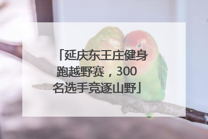延庆东王庄健身跑越野赛，300名选手竞逐山野