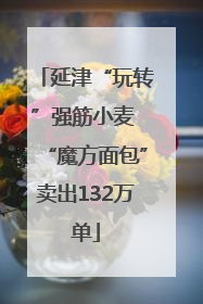 延津“玩转”强筋小麦 “魔方面包”卖出132万单