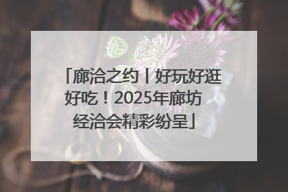 廊洽之约丨好玩好逛好吃！2025年廊坊经洽会精彩纷呈